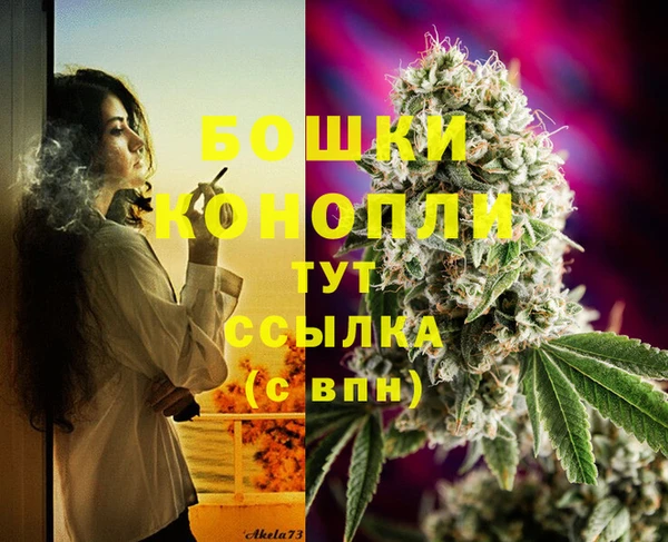 кокс Козельск