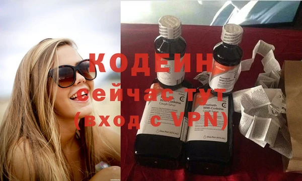 стафф Козловка