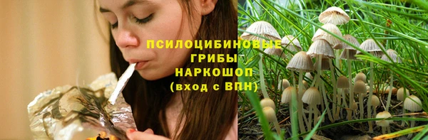 кокс Козельск
