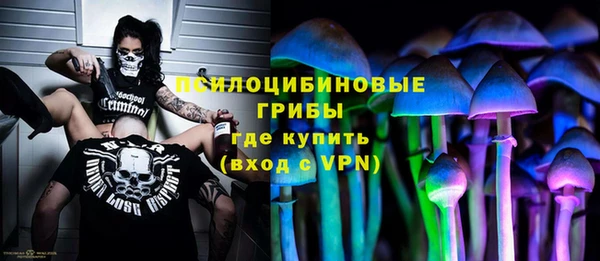 стафф Козловка