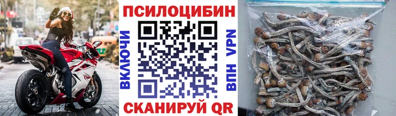 купить наркотик  Ясный  Галлюциногенные грибы Psilocybe 